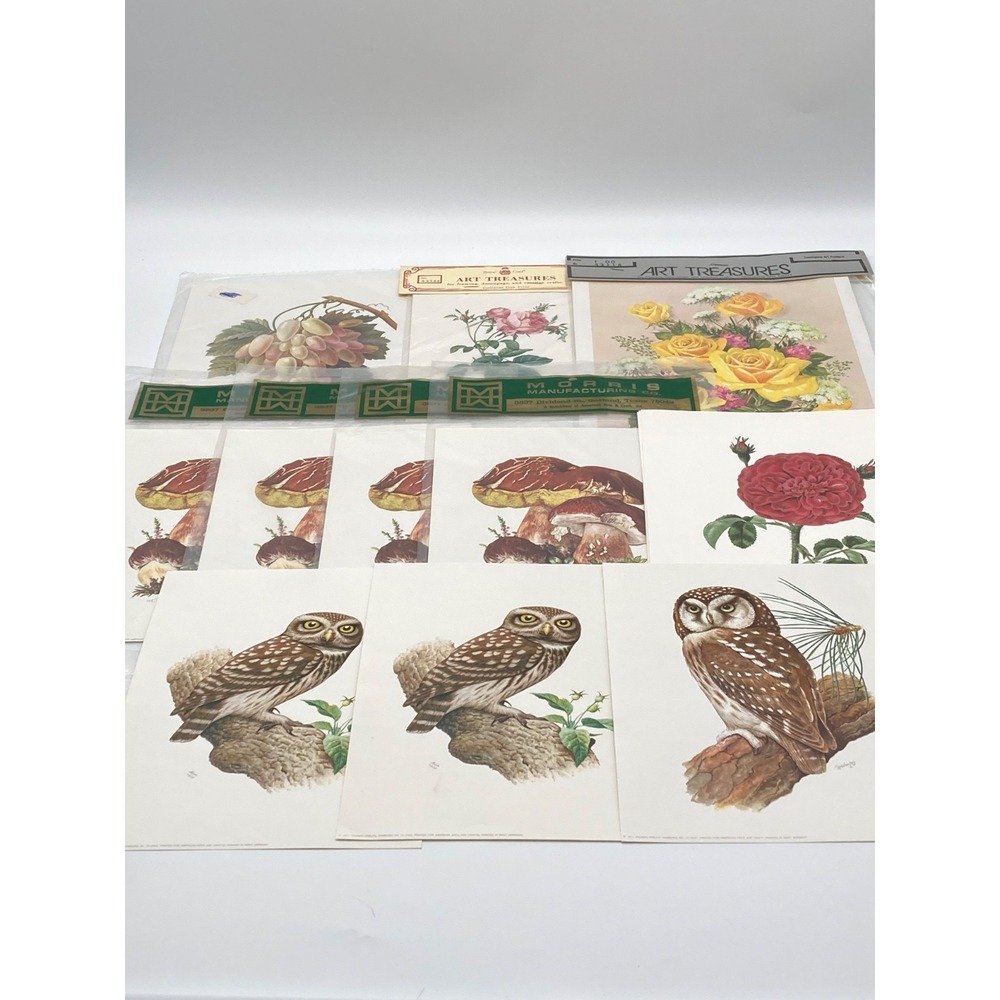 Vintage Decoupage Art Print Lot Owls Roses Mushrooms Grapes Crafting 15pc AS IS